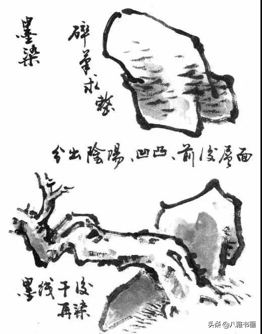 小写意花鸟画笔法,小写意花鸟画笔墨技法与创作