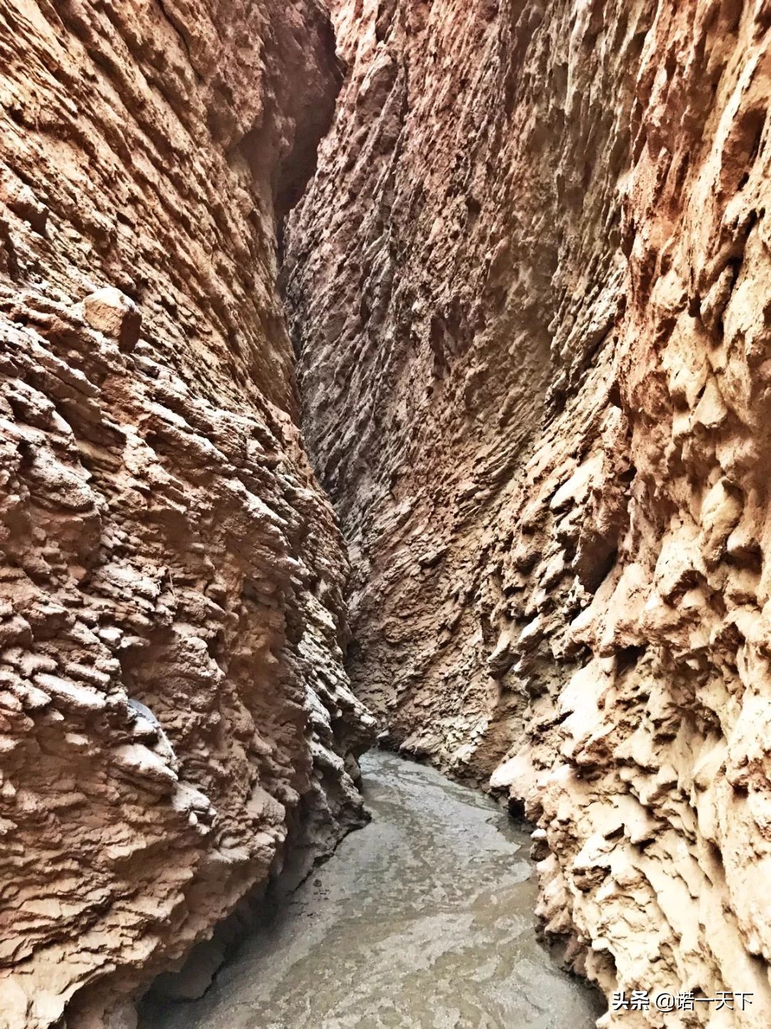 旅行新疆的美,旅行带你感受不一样的文化风情