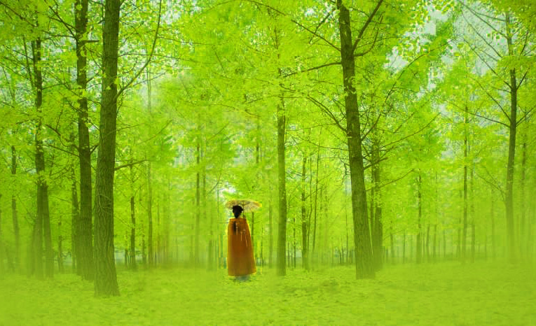 一瞥便是惊鸿芳华乱了浮生意思,一瞥便是惊鸿芳华乱了浮生谁说的