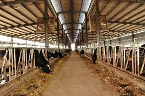 畜禽粪便无害化处理和资源化利用,禽畜粪便无害化处理可行性报告