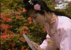 大陆古装美女,大陆古装美女排行榜
