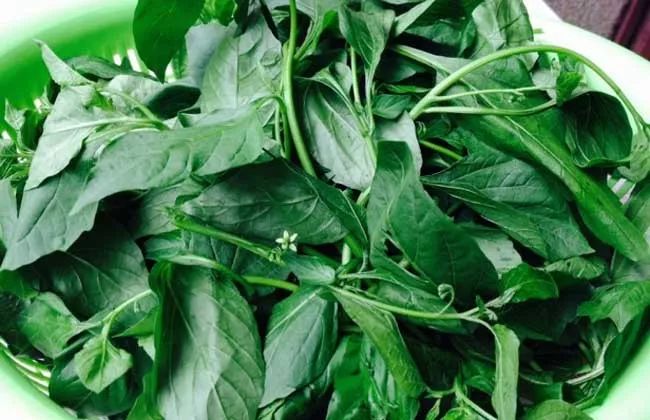 补虚强身益气祛风强筋健骨的汤水,补肝肾强筋骨最好的方子