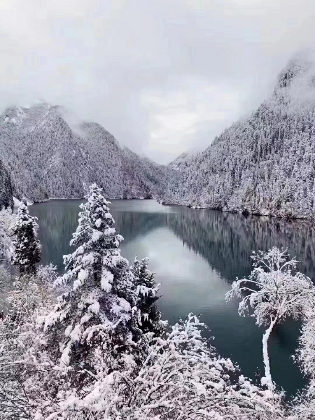 一下雪这些地方就美成了童话世界,有哪些下雪的地方值得去