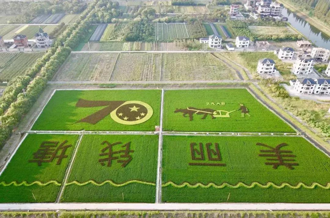 震撼！钱塘江畔出现巨型画作，有28个足球场这么大！