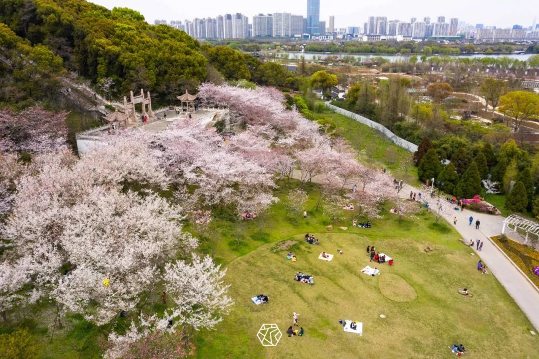 苏州赏花推荐景点有哪些,苏州赏花踏青攻略