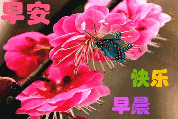 有志者事竟成早安语,励志名言一句话早安