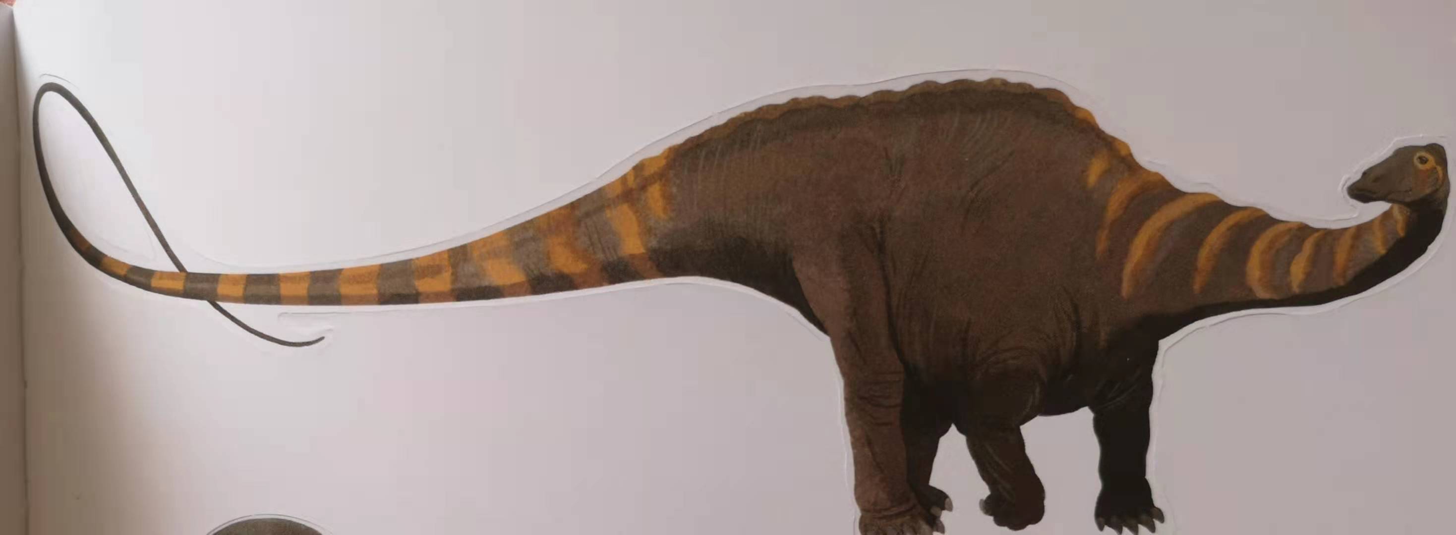 用恐龙模型打造真实的恐龙世界,恐龙时代里面的所有恐龙模型