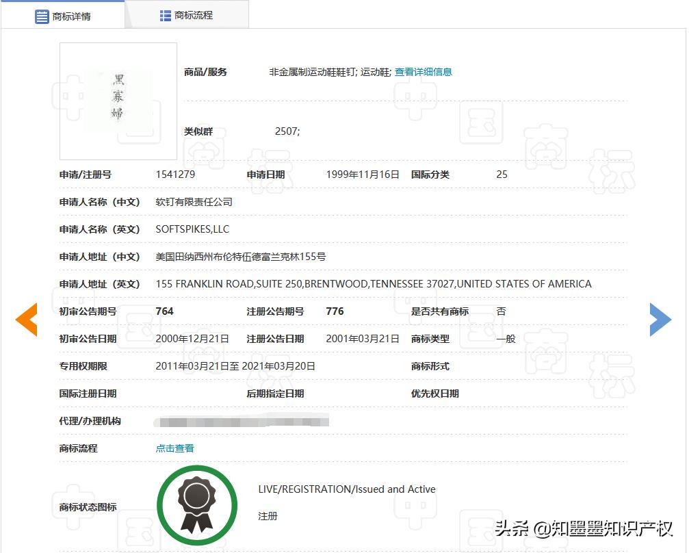 雷蛇黑寡妇最新,黑寡妇恐怖分子