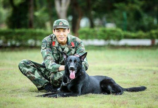 风水轮流转张馨予,风水轮流转女明星