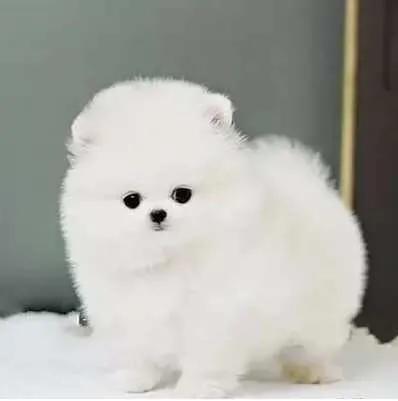 12岁孩子自律21天训练方法,如何提高孩子学习的自控能力案例