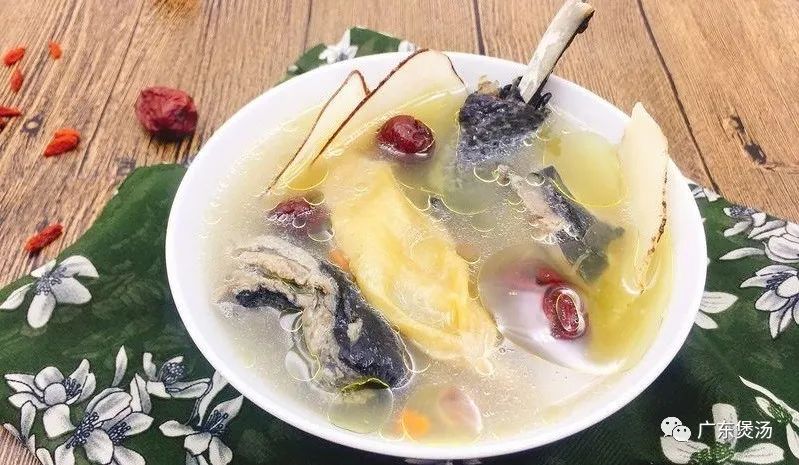 田鸡与田七花胶煲汤用哪种花胶,盐爆花胶与普通花胶可以煲汤吗