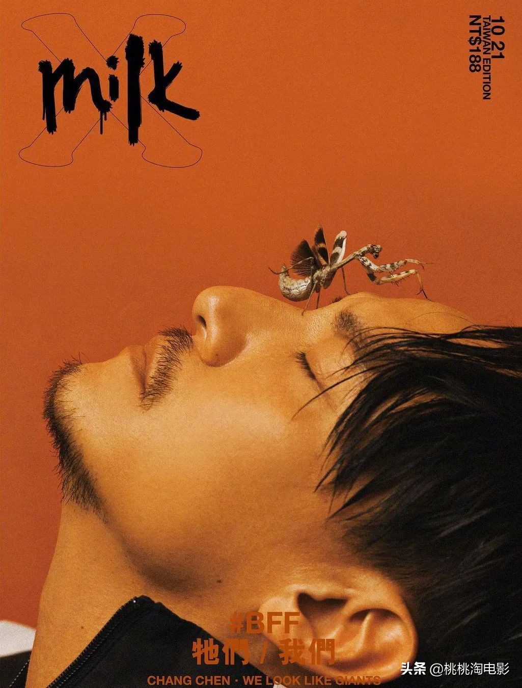 张震新片沙丘,张震图片写真