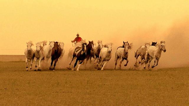 若木诗句七律,含有若木的诗句