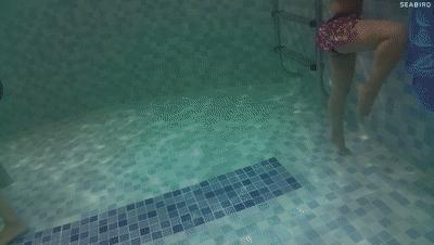 水下摄影4k,海鸟4k运动相机深度评测