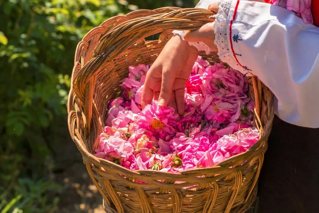 南美洲哪个国家对中国免签,中国免签的欧洲国家有哪些