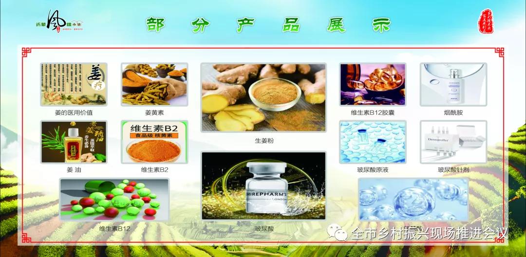 乡村振兴走进临沂,乡村振兴临沂现场会