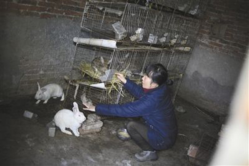 农村成本低利润高的项目有哪些,农村适合做小成本的项目