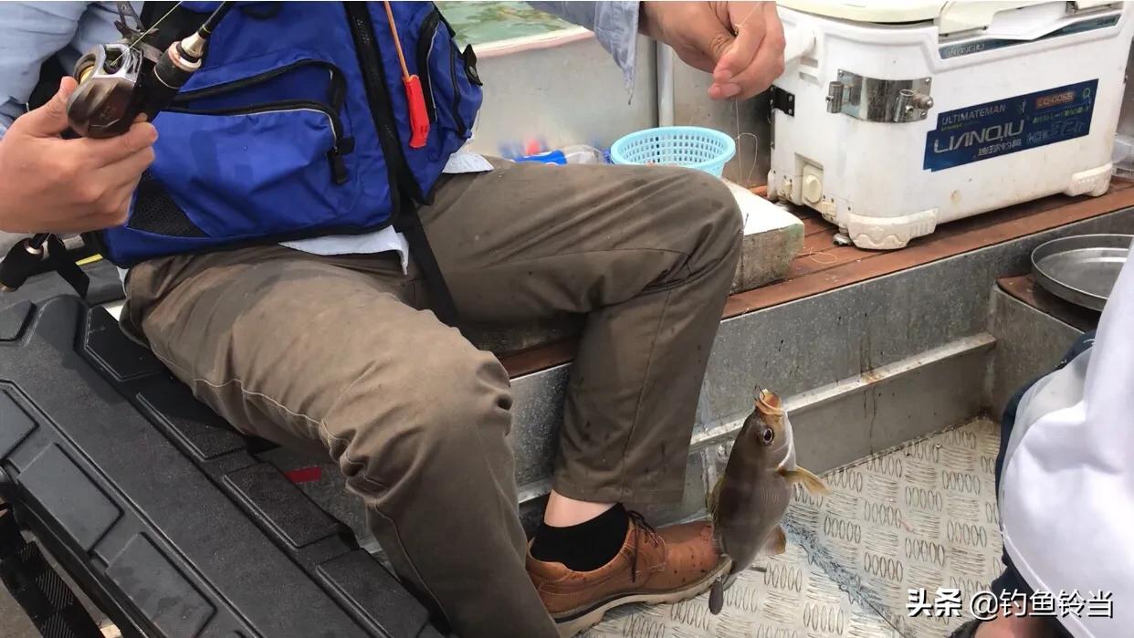 海钓黄鸡沉底钓鱼技巧,海钓黄鸡鱼用什么竿好