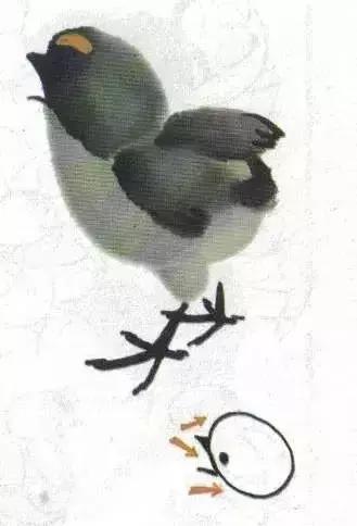 写意花鸟配景石的画法,干货写意花鸟类的画法