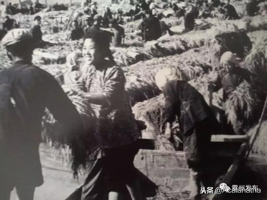 霸州土产公司老照片,霸州老城区图片