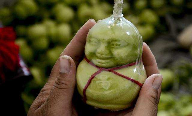 莲花果属于什么植物,莲花果介绍