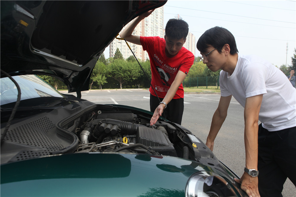 绿色甲壳虫车子视频,试驾最后一代甲壳虫