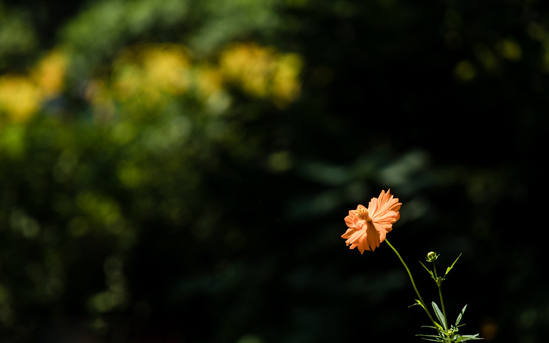 古诗必背成语,40个出自古诗词名句里的成语