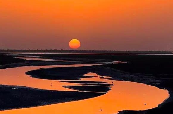 天若有情天亦老对联解释,对联天若有情天亦老下联是什么