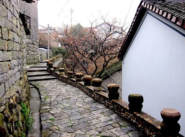 长三角城市群最佳旅游线路,长三角示范区旅游详细攻略