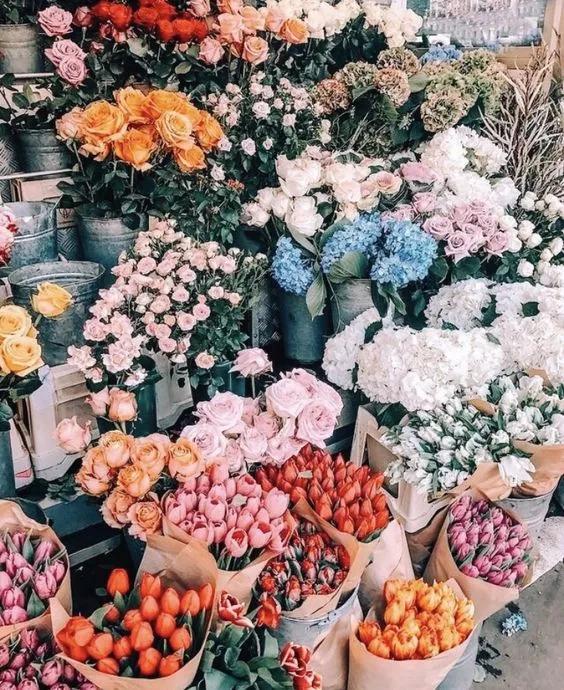 花店里面最贵的花多少钱一朵,花店一大束花的价格一般多少钱