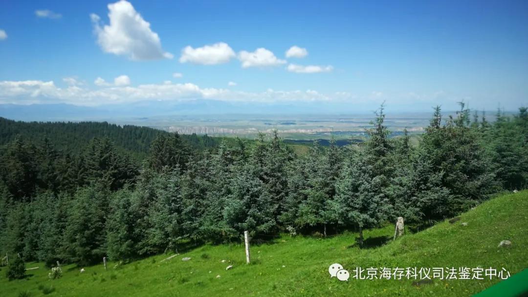 如果遇到套路贷款该怎么处理,遇到套路贷被威胁