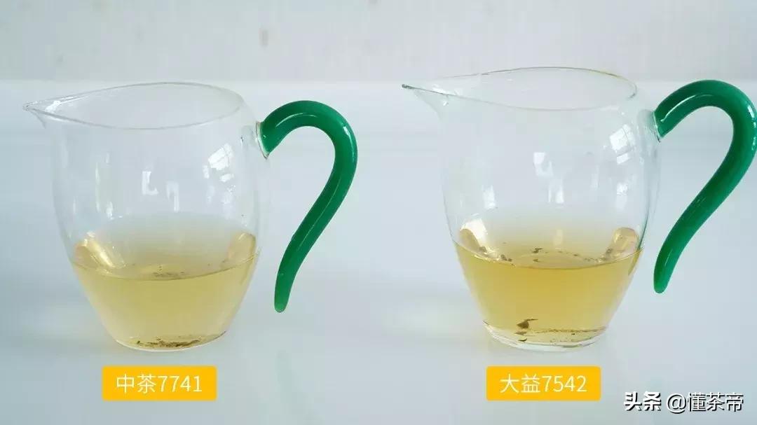 口粮茶选8653还是大益7542,大益茶7542和7572测评