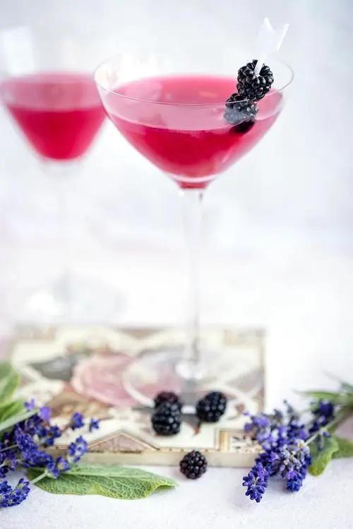 伏特加做基酒的经典鸡尾酒,伏特加鸡尾酒调制配方大全图解