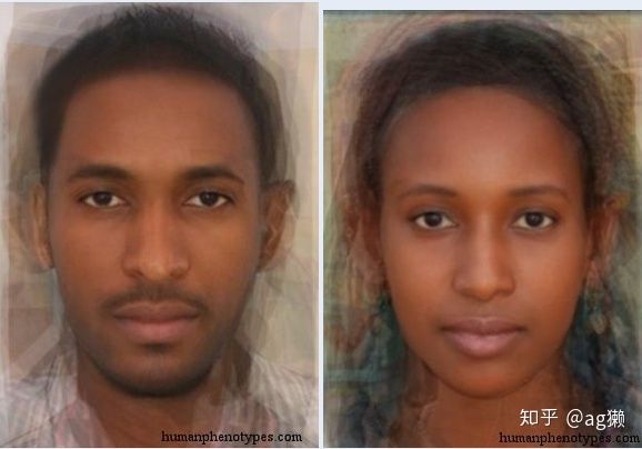 「世界人类图鉴」人类的摇篮：撒哈拉以南非洲居民的平均脸