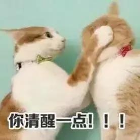 最火的奶茶咖啡排行榜前十名,好喝便宜的咖啡奶茶