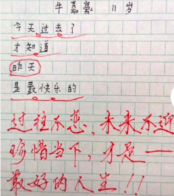 8篇800字作文初中,小学万能作文范文全篇