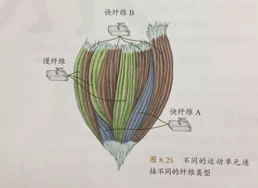 掌握击球节奏,掌握击球