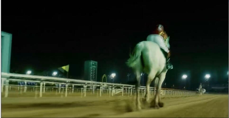 一人一马攀登高峰望故乡完整版,一人一马励志电影