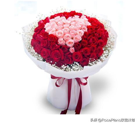 给女朋友送花送什么花最好,给女朋友生日送花送什么花