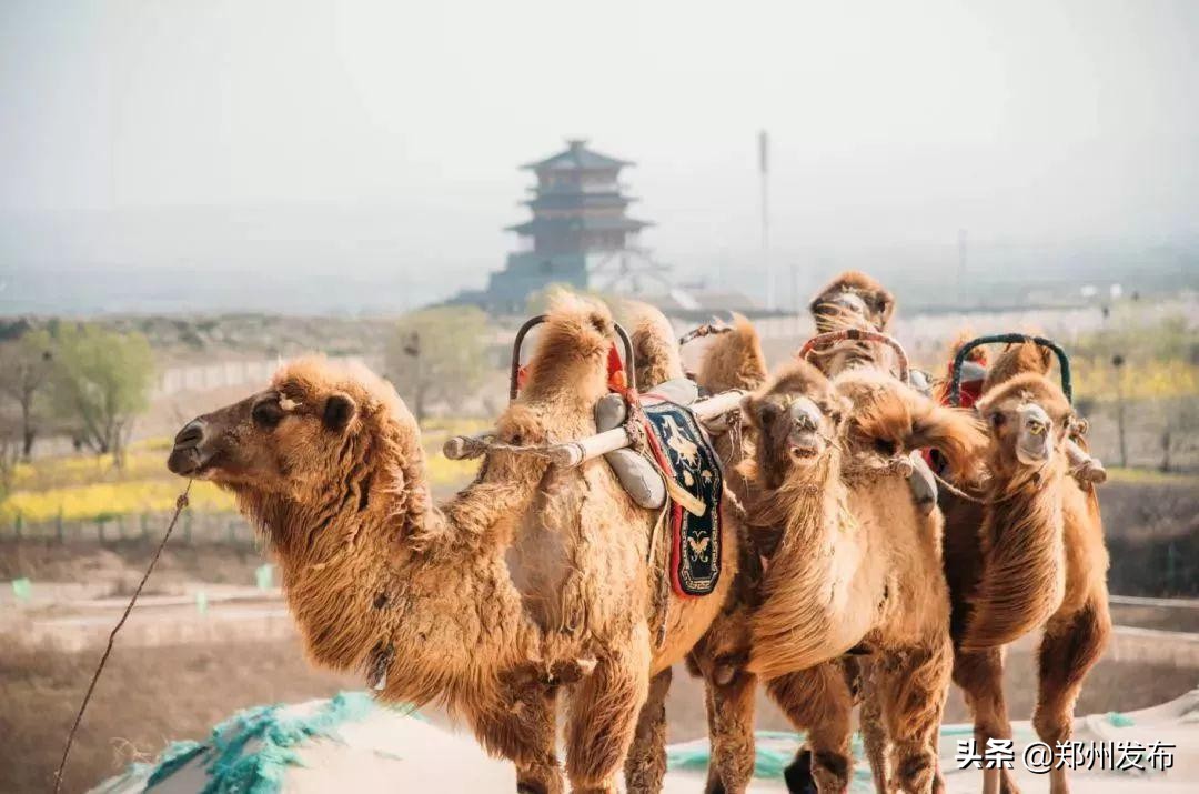 六一儿童节带着小朋友玩了一天,六一儿童节快乐游玩