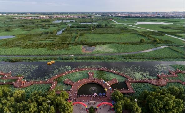 淮阳龙湖：神州第一荷