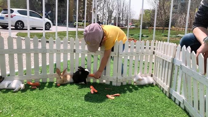 加格达奇出发鲅鱼圈旅游攻略,鲅鱼圈出发的周边自驾游