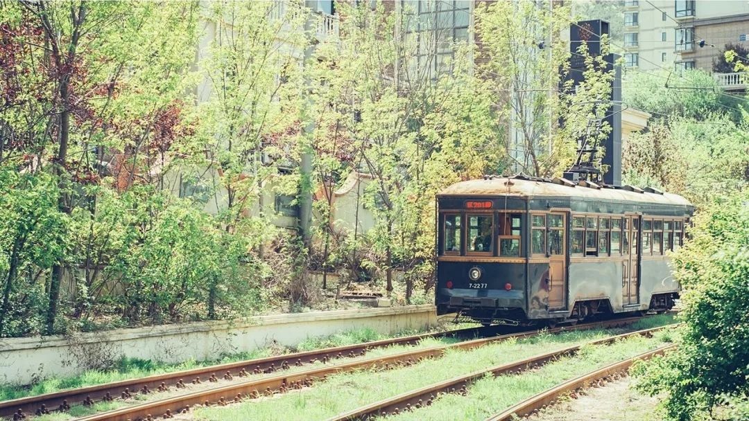 美过三亚浪漫过厦门的海滨老城,青岛和厦门海边哪个值得去旅游
