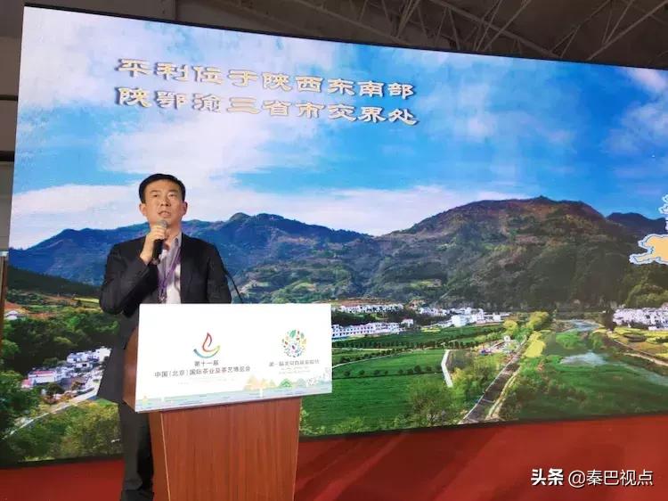 秦汉古茶价格,秦汉古茶图片