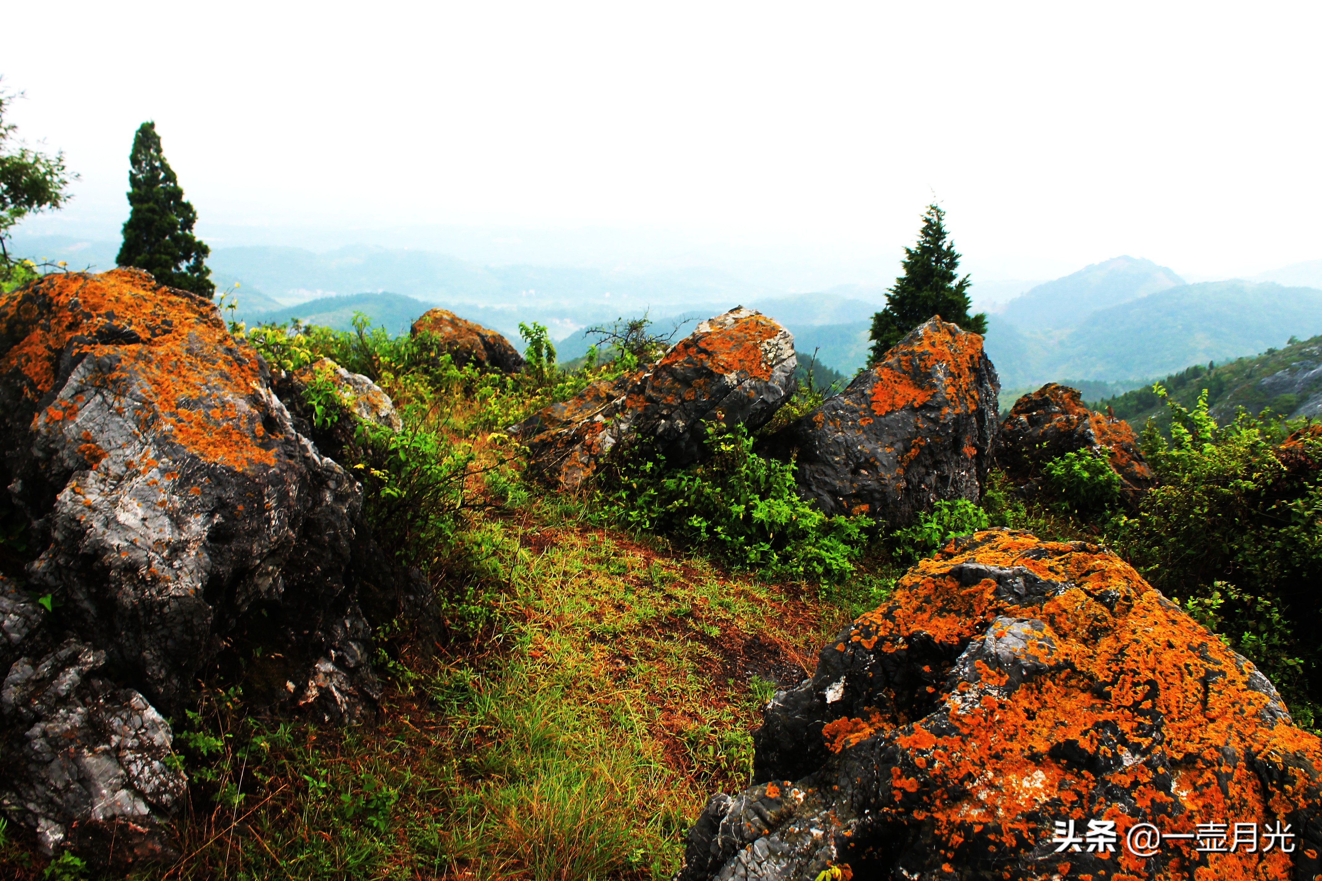 古诗词经典床前明月光名句,床前明月光唐诗300首朗读版