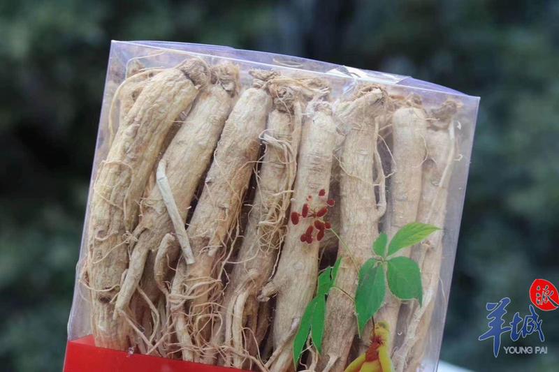 什么中药温补增加免疫力,增强免疫力中医三味药防风