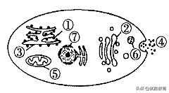 生物高考细胞膜知识点,细胞膜高考知识点