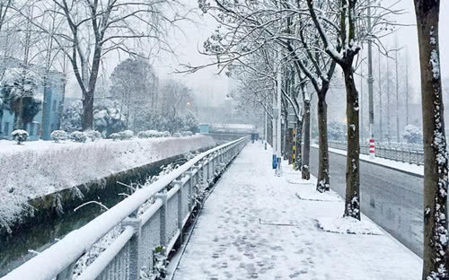 冬天的校园作文100字写景,冬天的校园真美作文250字