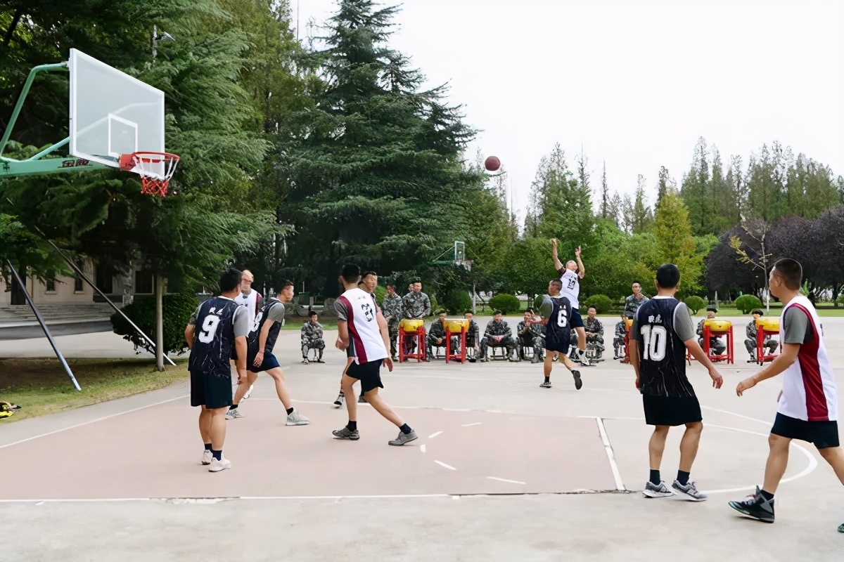 海鲨特战很厉害吗,海鲨特战旅比雪枫牛吗
