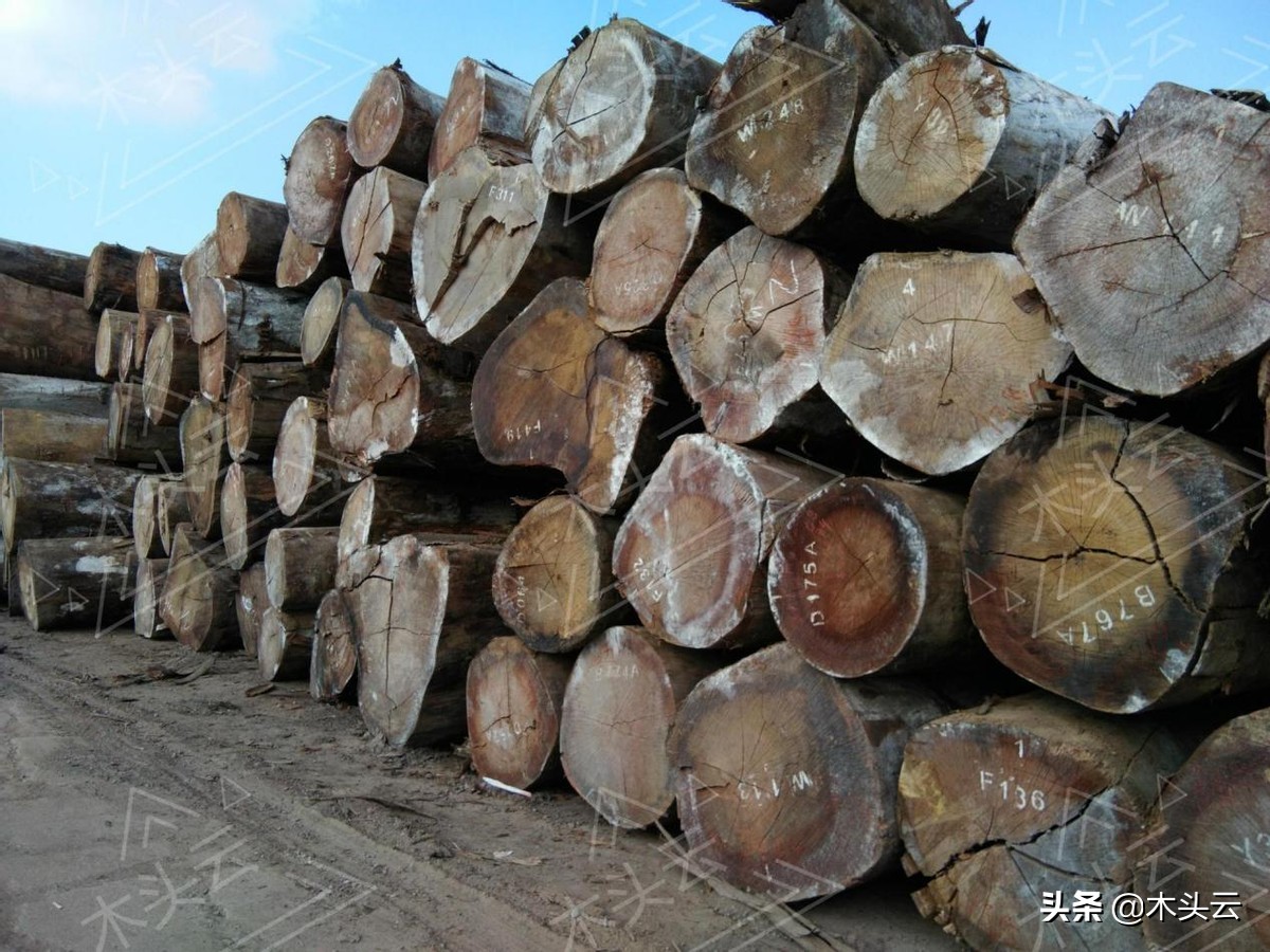 奥古曼木材也叫什么,奥古曼木材属于哪个档次的
